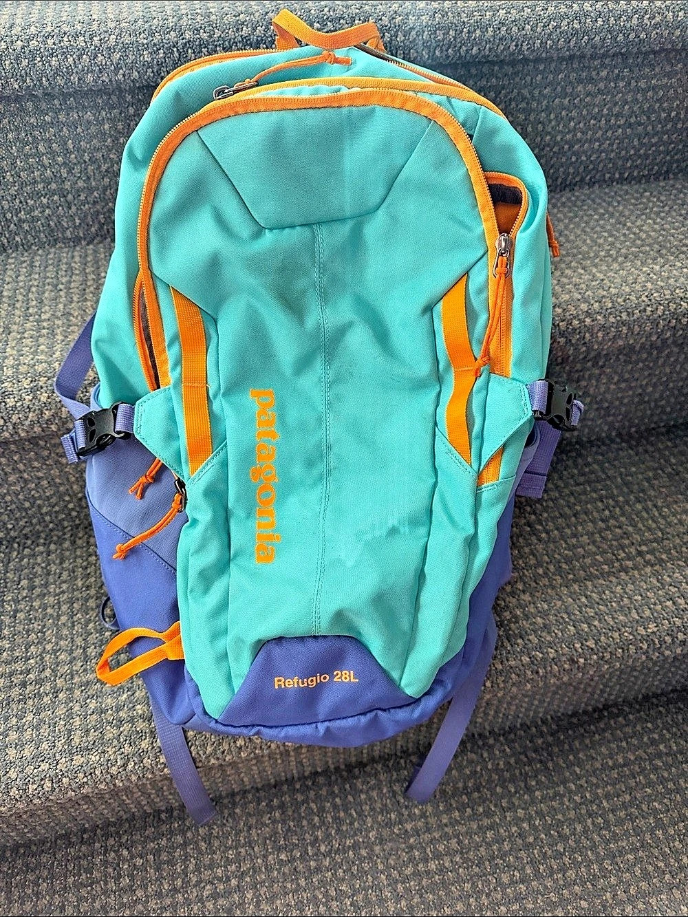 Patagonia Refugio 28L in Turquoise & Purple